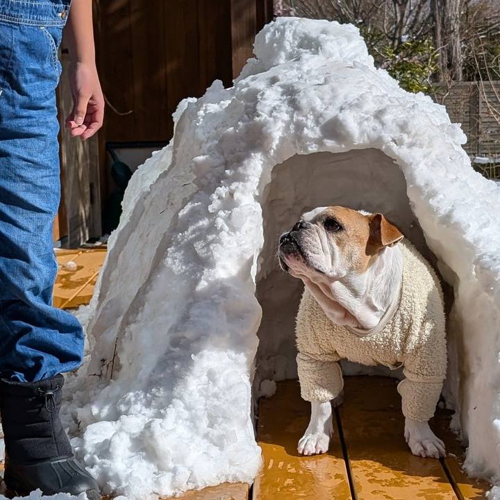 8eb3637d fead 46fa 8568 7a64e184af71 1770729272323