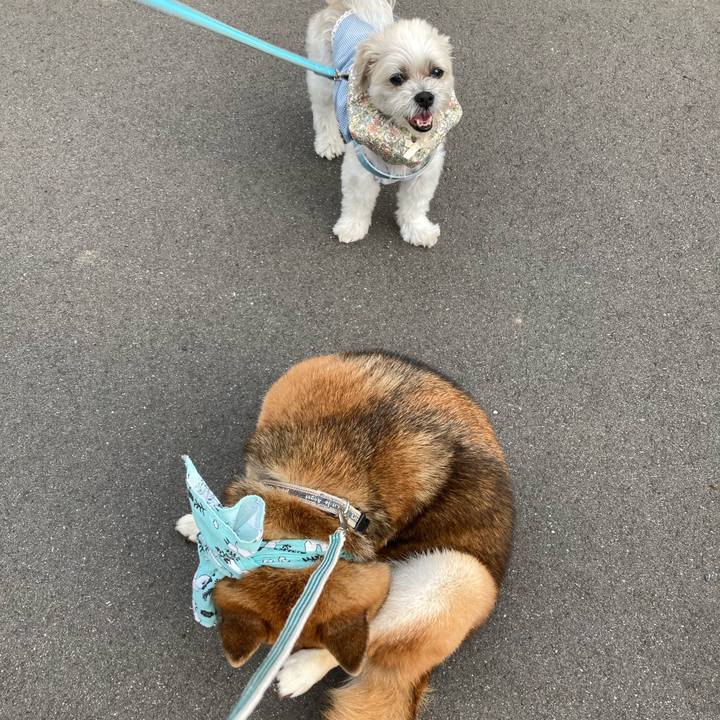 8eb3706a 570f 4871 821e f3af734c2819 1724317593336