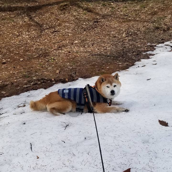 8eb373ec eb51 4161 9525 beaa681ad93f 1711594383192