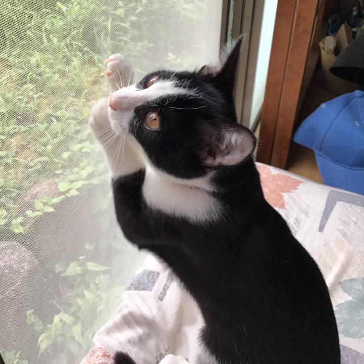 8eb3d03e 5d9d 4583 af1d 7edc44657db1 1629097933909