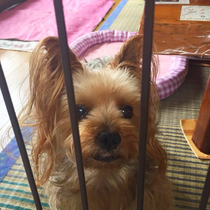 8eb3df22 ac07 4fc6 a1fb 60d088ef9762 1534919308530