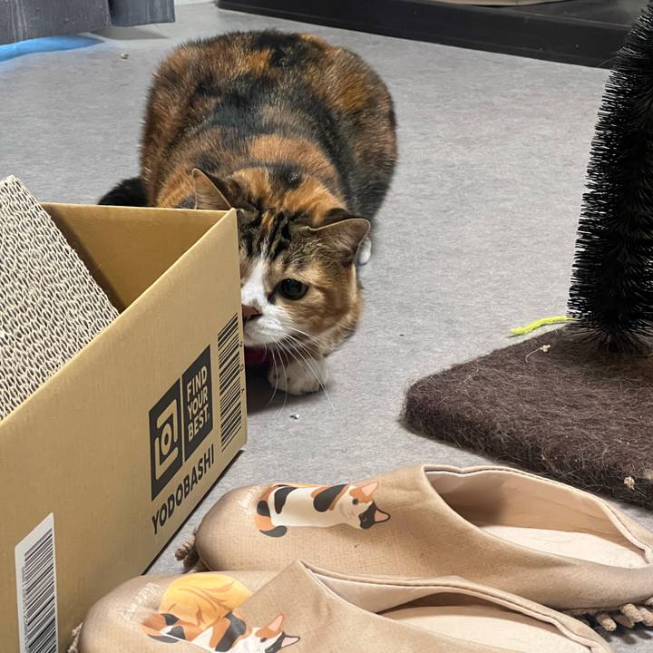 8eb40322 9dfe 4bf1 a8f5 2c18acc3172f 1768349692975