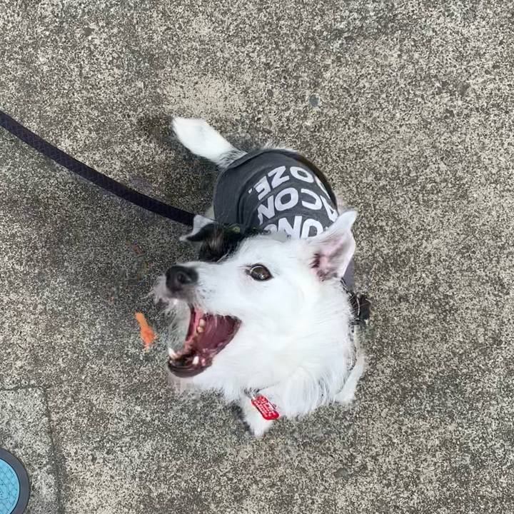 8eb40cdb 203c 43e7 8961 c7a22d6b7e71 1682901905455