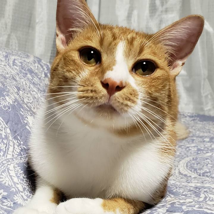 8eb4104b 0cca 4a93 bca7 0447c54b9e5d 1758679193754