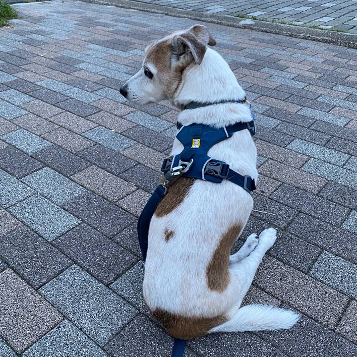 8eb42ba0 22f4 4d83 b0dc 6f6b9a3bdd8f 1652695376546