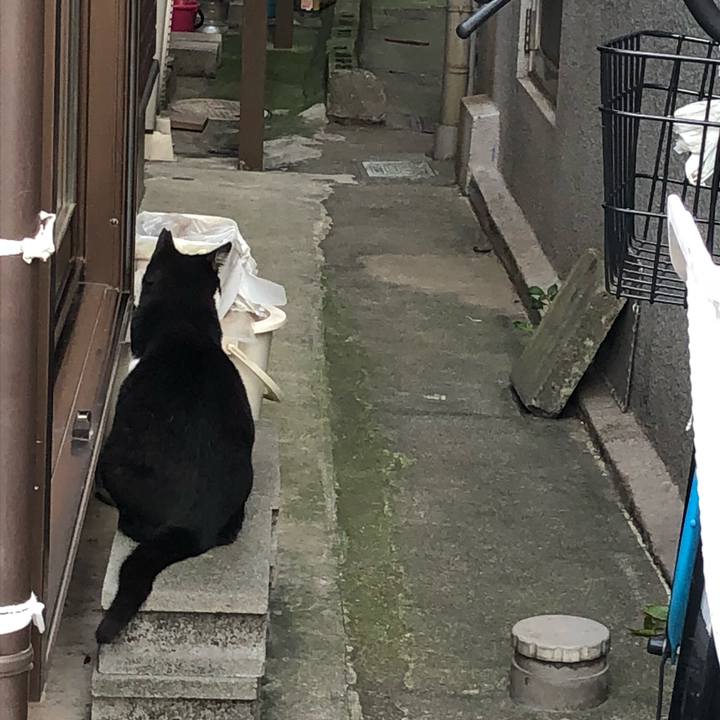 8eb42d65 1983 4102 b390 7463f196546e 1538571518219