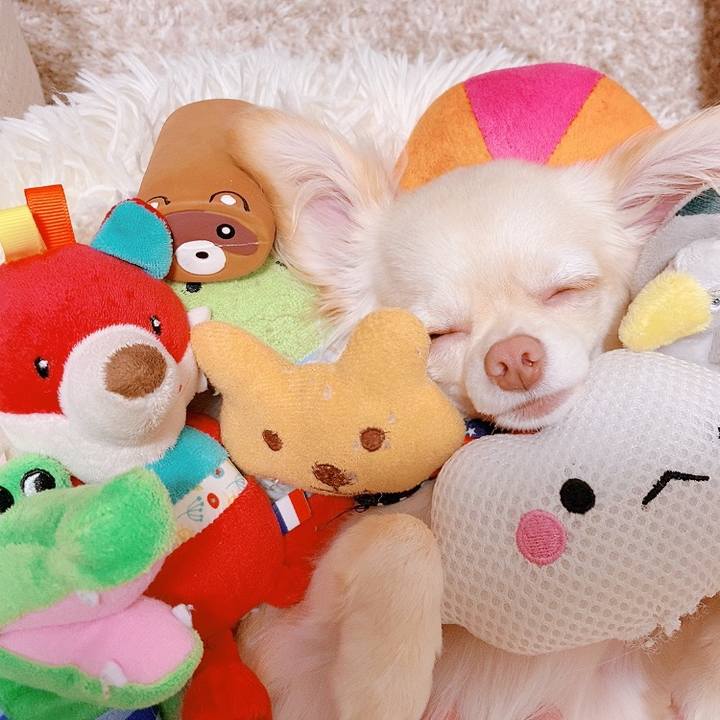 8eb438cf 81b6 4bc8 9f7e 051a97ecbadd 1625404945965