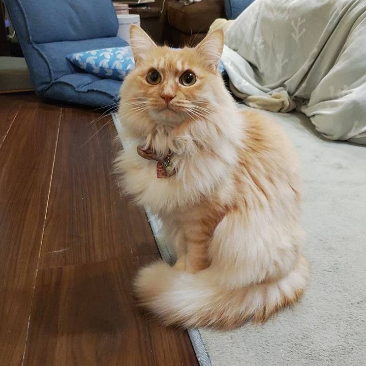 8eb4a963 1dc6 494b ae26 c7d135fbc24b 1705873945699