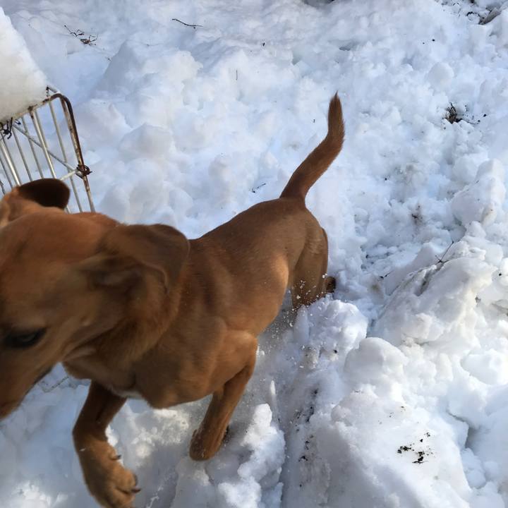 8eb50624 b618 45e7 86a5 c48eb4d4efcc 1516693130886