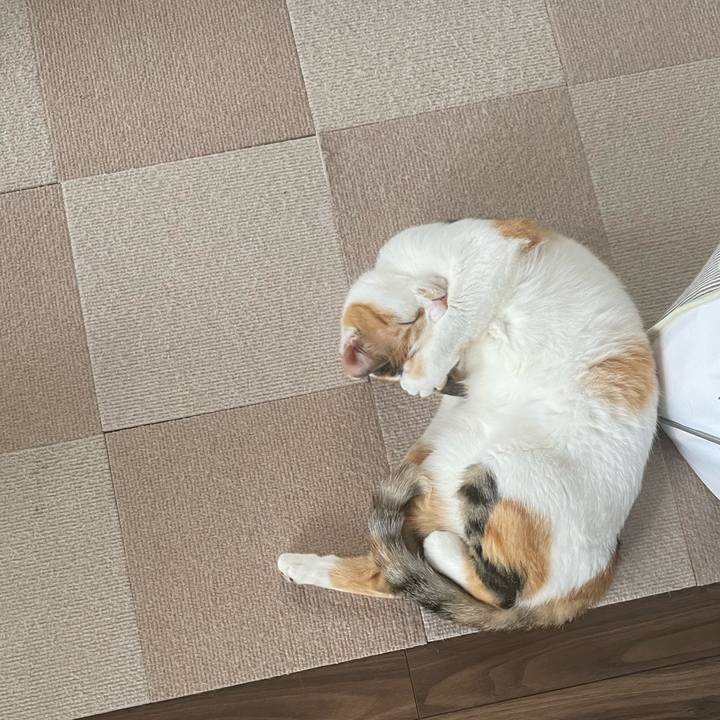 8eb5096d aade 441c bd8c 823335c5bd44 1660981472085