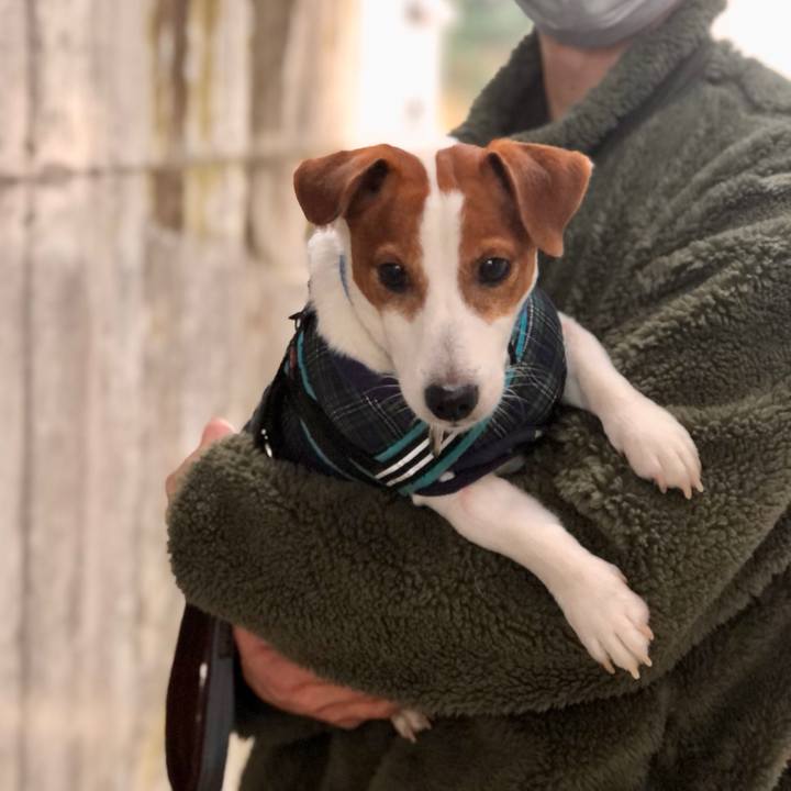 8eb5440f 1818 465a 9bb3 e2966038e19a 1673419689944