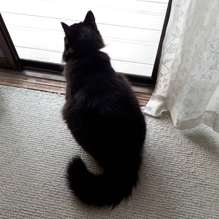 8eb56f0a c53c 4795 8a61 12a374a38307 1518907044400