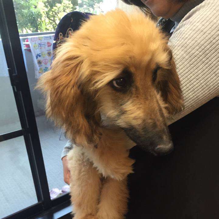 8eb5a8c6 7d22 4f39 9bcd e59dcba57578 1520138888690