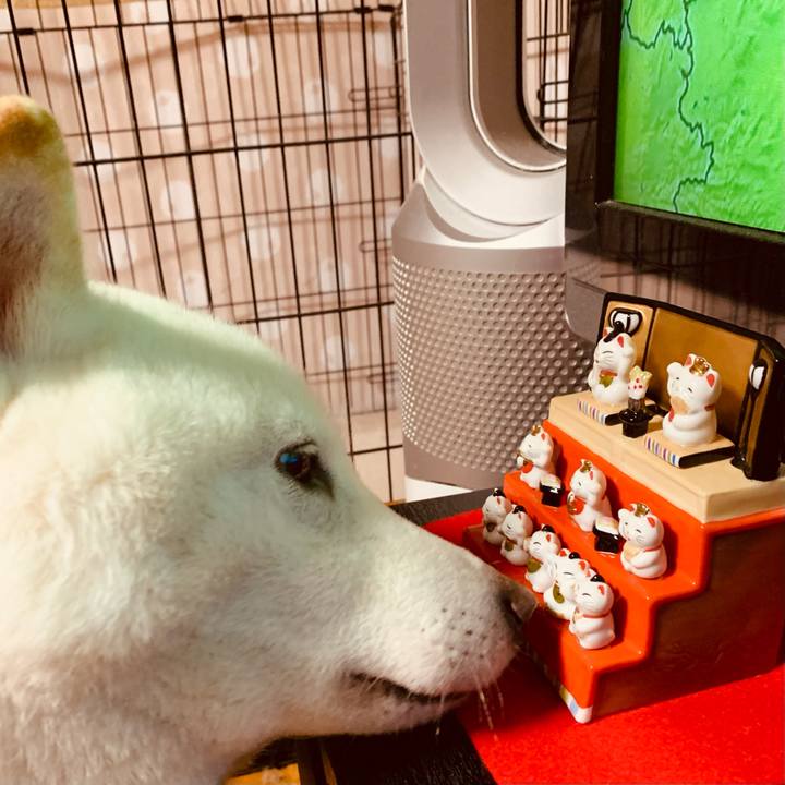 8eb5c534 0f71 43ff b0b0 d9267e7a9beb 1645063173383