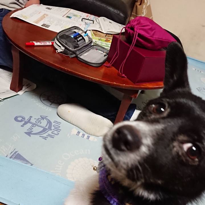 8eb5dbac 75ea 4706 a949 dd675d525253 1514626086347