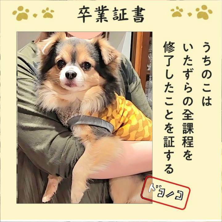 8eb5dcb4 18ca 4540 a0f4 ce7cb663ec56 1772569808735