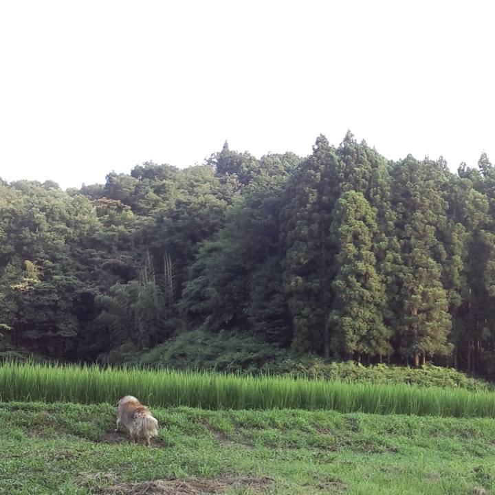 8eb5f400 778e 46e1 b0d0 b83eeea55dae 1574093506967