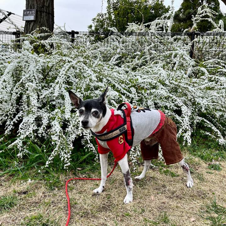 8eb612a1 bb12 475a 8891 7b5ea59db2ec 1647832562656