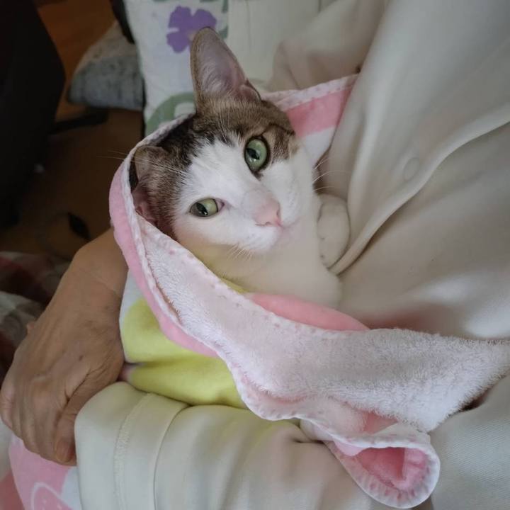 8eb63631 d2ee 4b3f 976f 5235d397310a 1736641511965