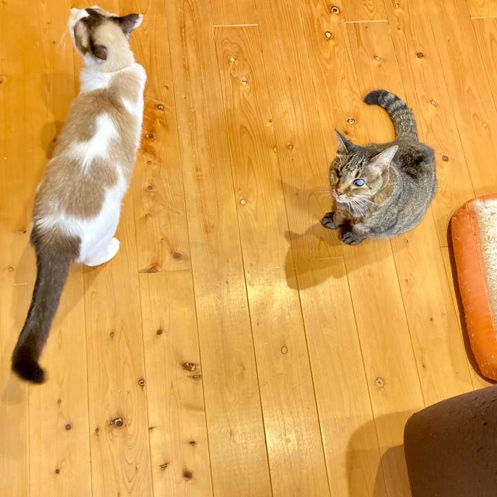 8eb64eeb 90cd 489b 9b16 1d9b9c9b7e3a 1636457215013