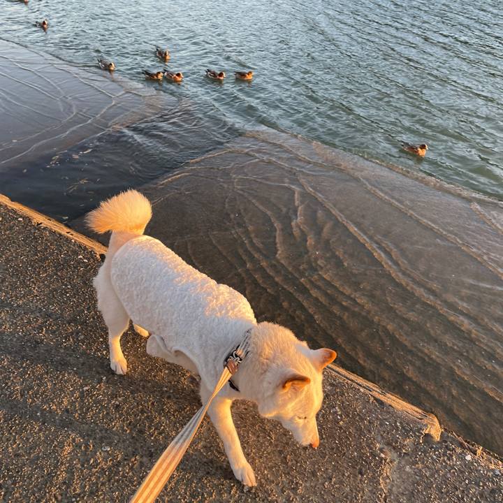 8eb67048 b8ae 4afb bdbc 4bd82234702c 1638351816019