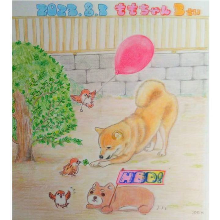 8eb6810d 518f 488b 8b42 47ebb6ddf62e 1691023566064