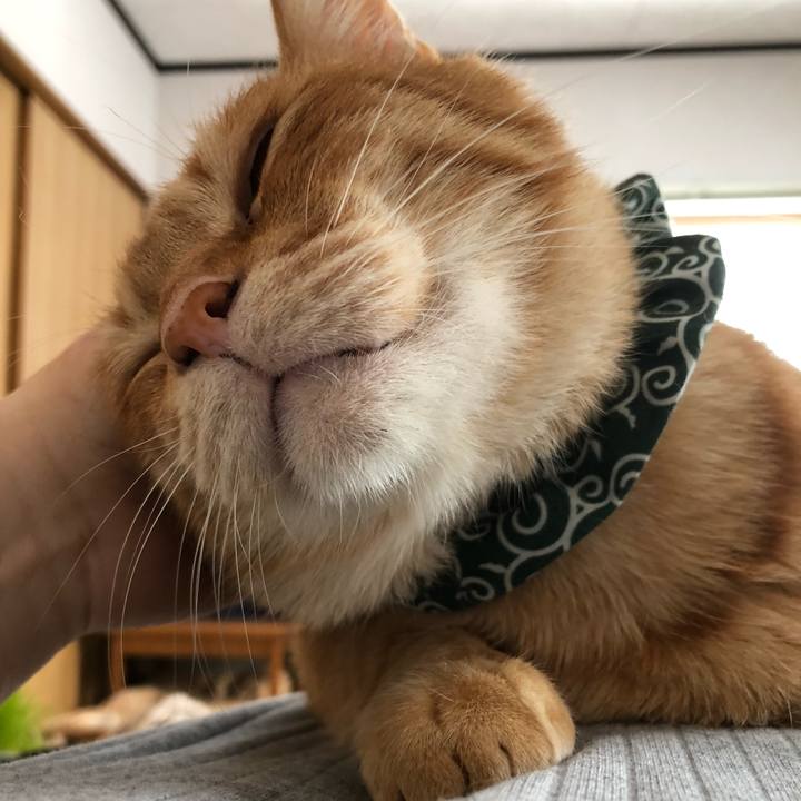 8eb68b23 d3d9 44c0 9176 8b67c19d79af 1582324854611