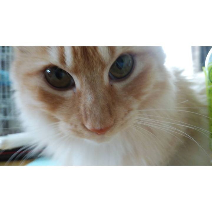 8eb6d07d 04c1 46c7 ae44 64b64dcd3d8f 1624006133980