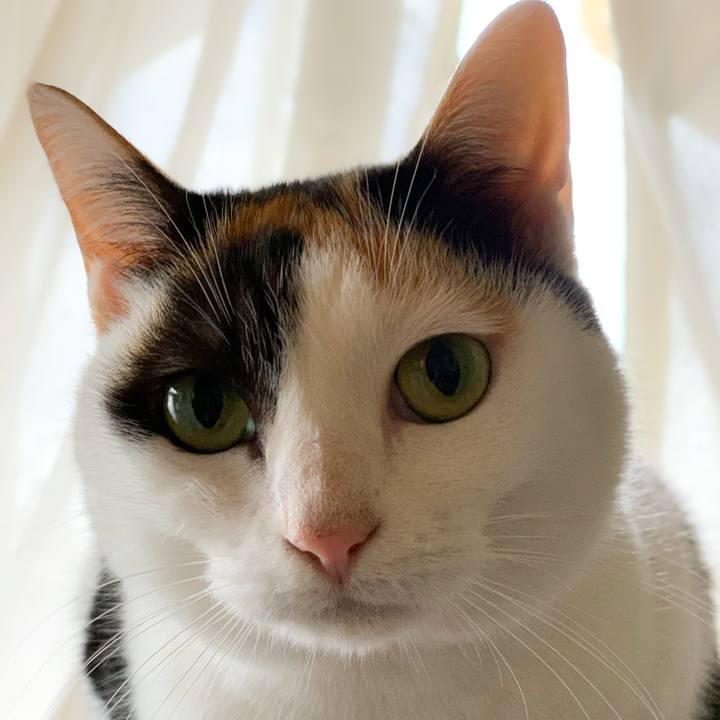 8eb712e7 9c3d 4540 a887 181a3cf0c7d3 1577493732281