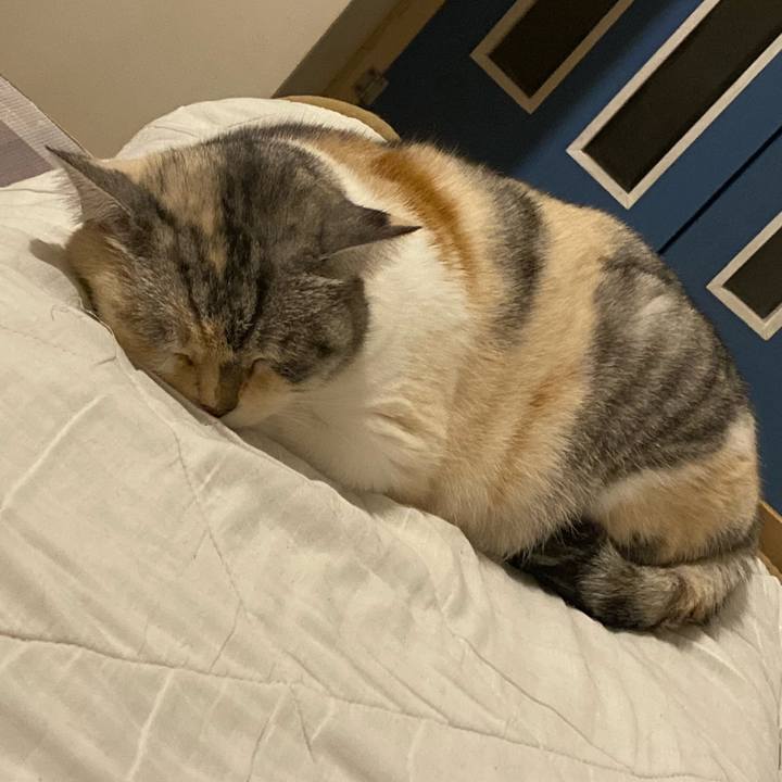 8eb71625 4f24 4455 bacf 60055df58f61 1639500491181