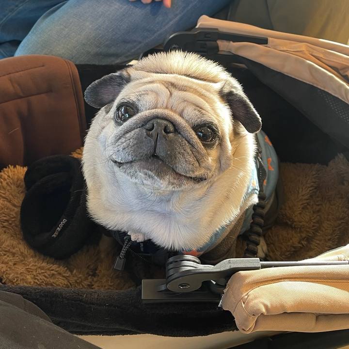 8eb7271e 2b23 43e1 ae9a dc7d2015baa4 1770242308442