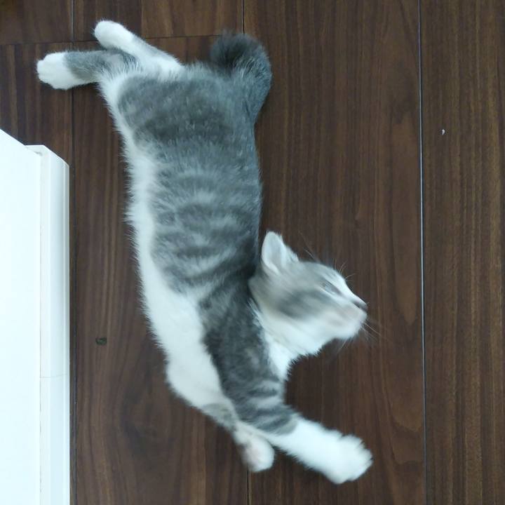 8eb7315c e335 41f2 ba33 db6ed88439fb 1598747154375