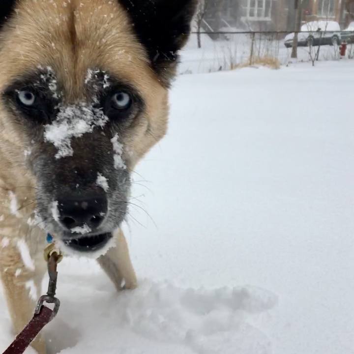 8eb74a8a 1dbd 4ffc 8fea 95176bffc484 1547910344130