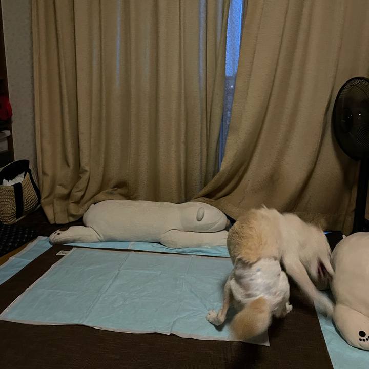 8eb768af a155 4837 95cd d4ed40e19a34 1665954124993