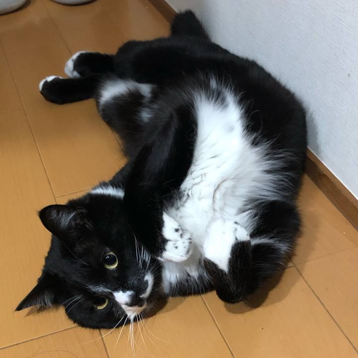 8eb7bbf2 01df 4be6 977a 7a731008d685 1652154129277