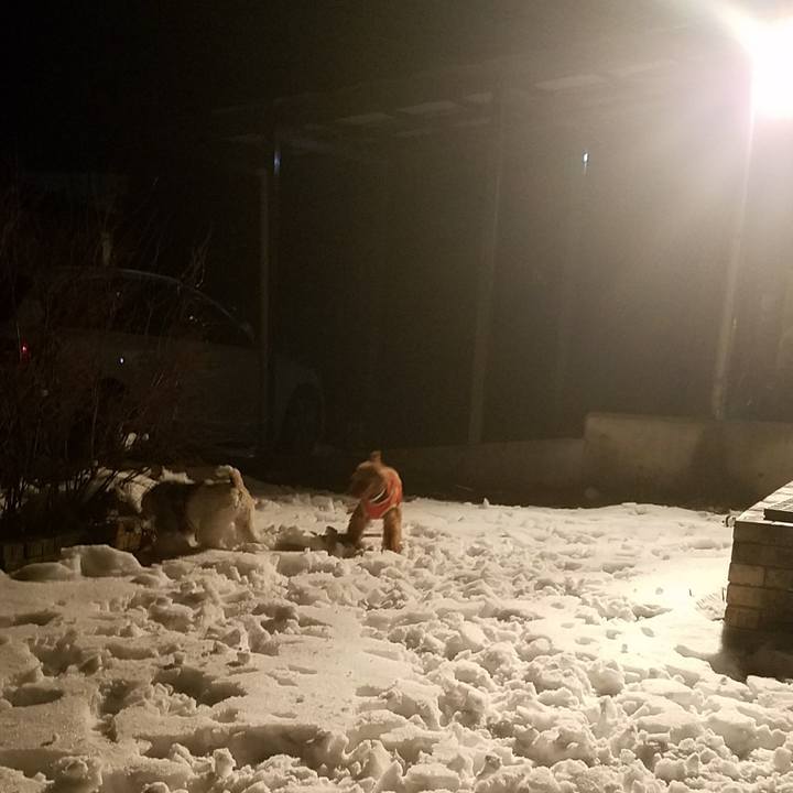 8eb7cdcd d581 49c4 b510 a3ed2195aa37 1516019433824