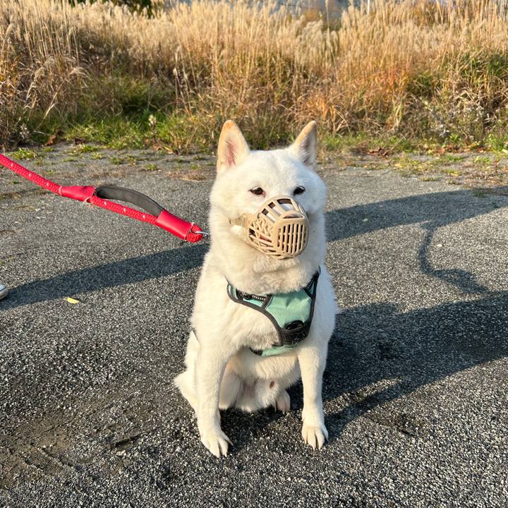 8eb7ed33 d834 4608 b503 0641c328a3eb 1698968397644