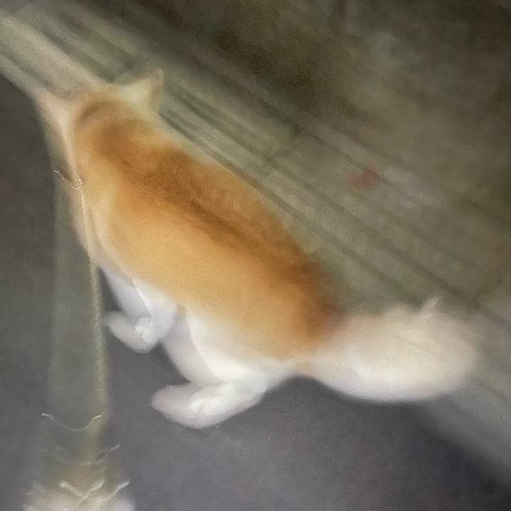 8eb7f721 5022 4233 bc89 a9f6ec0f8308 1713531475704