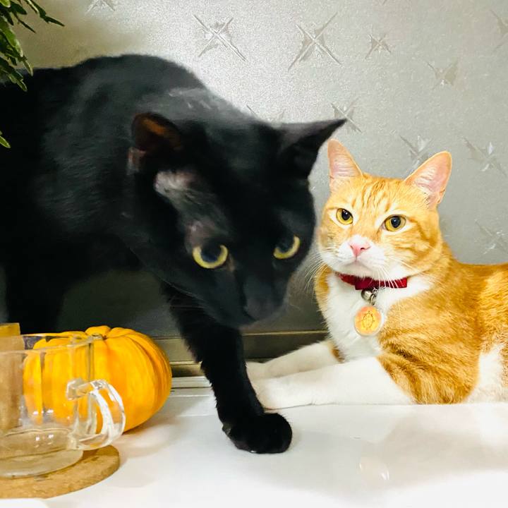 8eb8182e 9e7c 4fa3 9058 851442338bf8 1680183617895