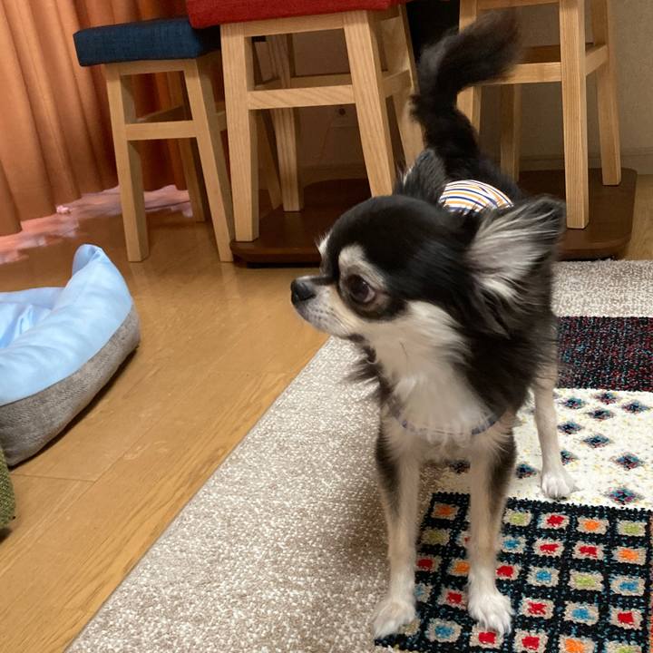 8eb825f4 fd56 4bff a6d8 b93381f2d81d 1688913758900