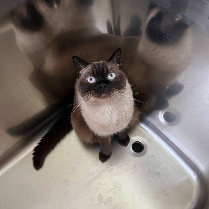 8eb8460c d150 4bd3 b78c 37d22b5c26ac 1691494723087