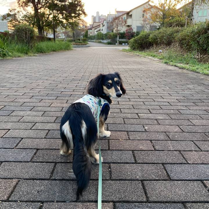 8eb854be e407 4539 9c1b a63ab8f5f5ba 1699429685395