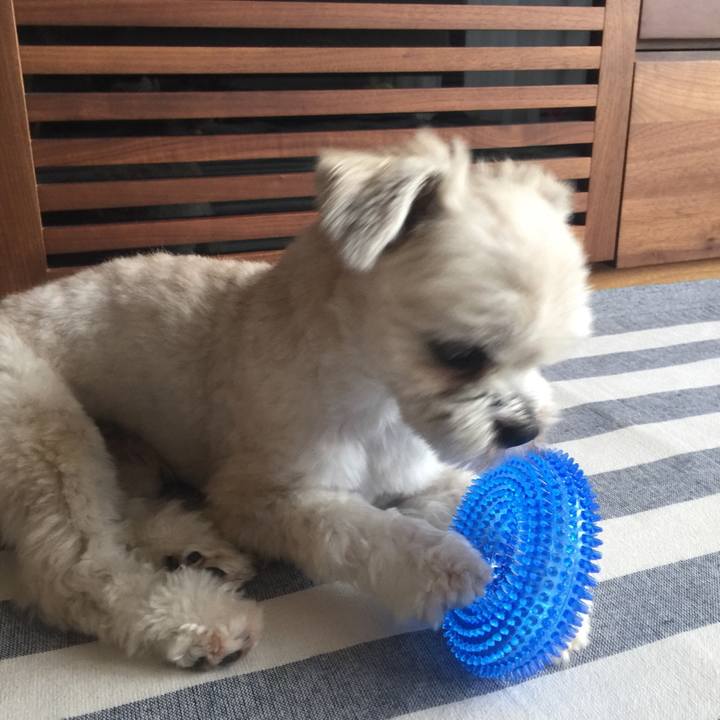 8eb870ef 2831 44a7 92d9 f491d30db2d6 1532242919616