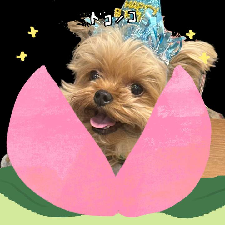 8eb878c5 5c84 4e47 a566 a2fb44d66029 1772029576061