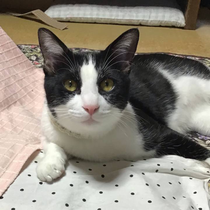 8eb8932b 60ab 4699 9561 377efd84bf43 1653817391672