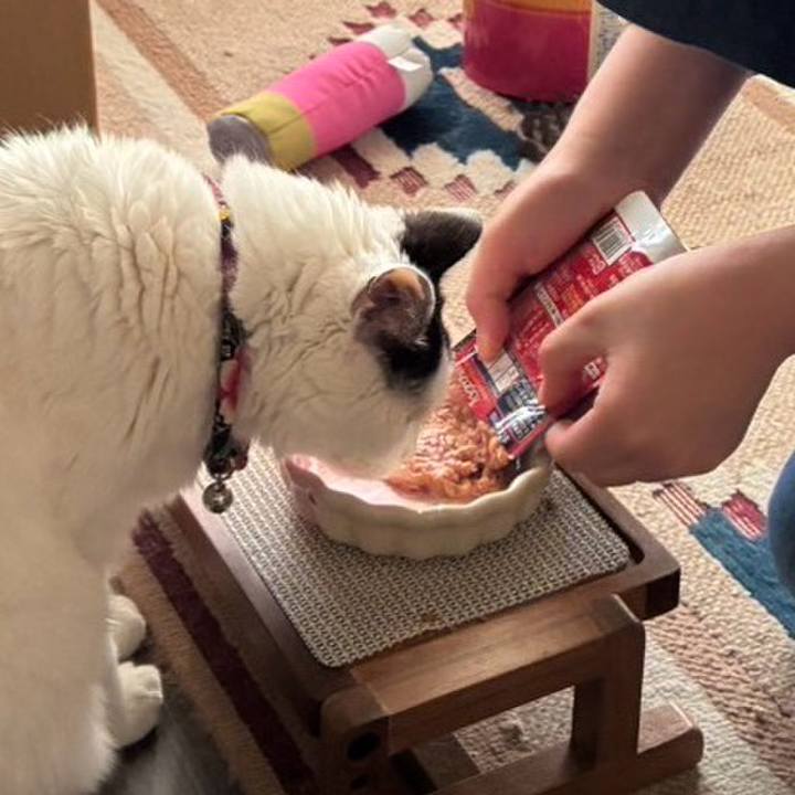 8eb8d4ee 92b5 452e 87d6 7a37ac05aa36 1746724919000