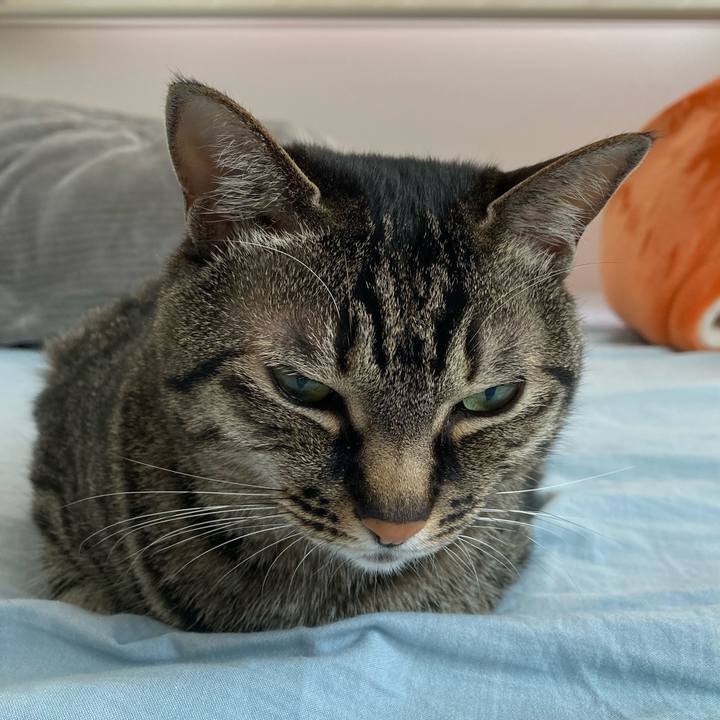 8eb905c6 dfc1 4764 b88b ee9a0a4110fe 1619838920649