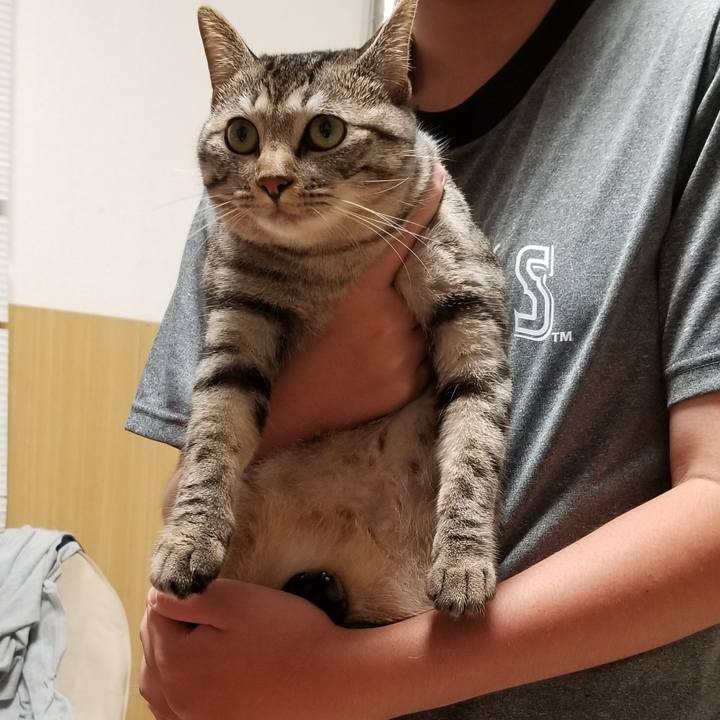 8eb93bd0 54b5 4f3b b8d3 eb8767c1a819 1690981376668