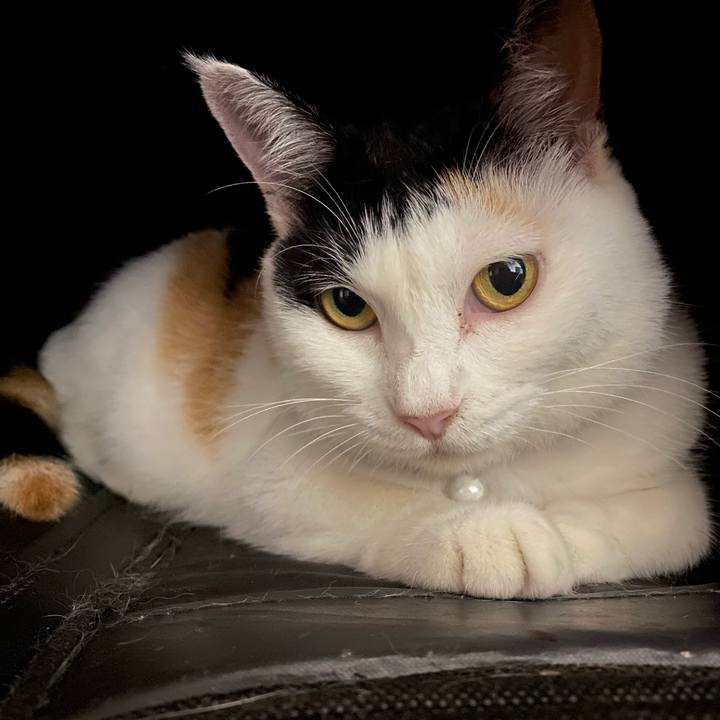 8eb93c14 42de 40df 8384 c8d7cae4d6ef 1661088966953