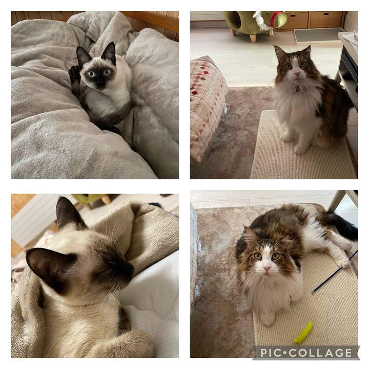 8eb94c9e 9591 44fc 911f e3e446b8f4b1 1699943618165